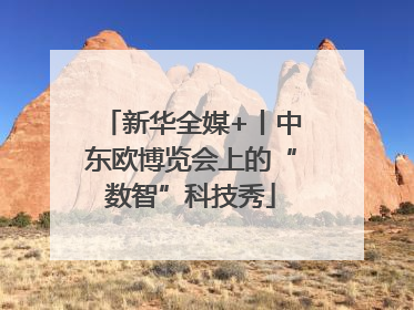 新华全媒+丨中东欧博览会上的“数智”科技秀