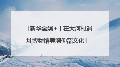 新华全媒+丨在大河村遗址博物馆寻溯仰韶文化