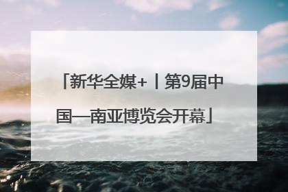 新华全媒+丨第9届中国—南亚博览会开幕