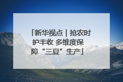 新华视点｜抢农时 护丰收 多维度保障“三夏”生产