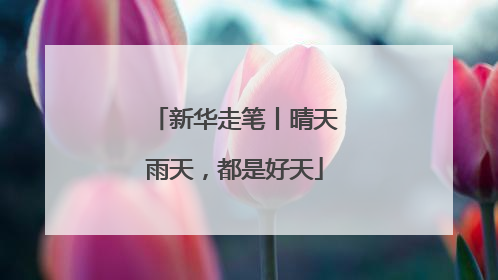 新华走笔丨晴天雨天，都是好天