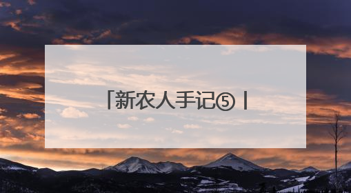 新农人手记⑤丨当湘潭白莲遇上云端电商 新视野带来了新路径