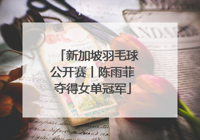 新加坡羽毛球公开赛丨陈雨菲夺得女单冠军