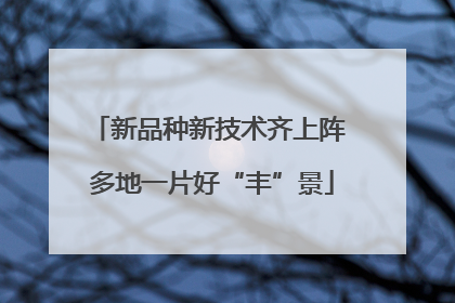 新品种新技术齐上阵 多地一片好“丰”景