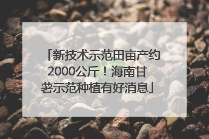 新技术示范田亩产约2000公斤！海南甘薯示范种植有好消息
