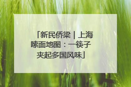 新民侨梁｜上海嗦面地图：一筷子夹起多国风味
