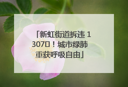 新虹街道拆违 1307㎡！城市绿肺重获呼吸自由