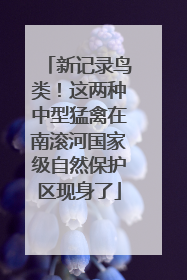 新记录鸟类！这两种中型猛禽在南滚河国家级自然保护区现身了