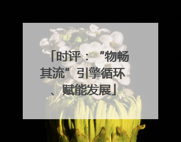 时评：“物畅其流”引擎循环、赋能发展