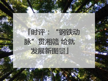 时评：“钢铁动脉”贯湘赣 绘就发展新图景