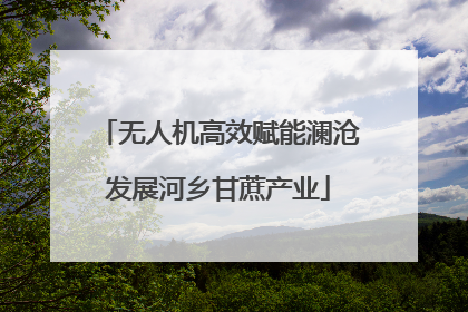 无人机高效赋能澜沧发展河乡甘蔗产业