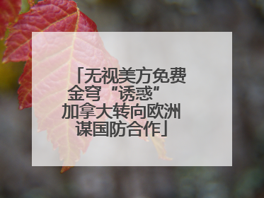 无视美方免费金穹“诱惑” 加拿大转向欧洲谋国防合作