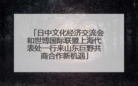 日中文化经济交流会和世博国际联盟上海代表处一行来山东巨野共商合作新机遇