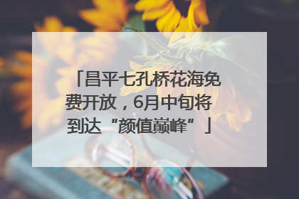 昌平七孔桥花海免费开放，6月中旬将到达“颜值巅峰”