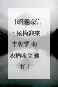 昭通威信：杨梅迎来丰收季 助农增收采摘忙