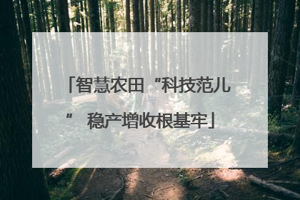 智慧农田“科技范儿” 稳产增收根基牢