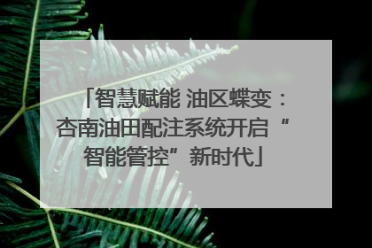 智慧赋能 油区蝶变：杏南油田配注系统开启“智能管控”新时代
