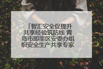 智汇安全促提升 共享经验筑防线 青岛市即墨区安委办组织安全生产共享专家现场观摩学习活动
