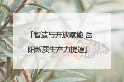 智造与开放赋能 岳阳新质生产力提速