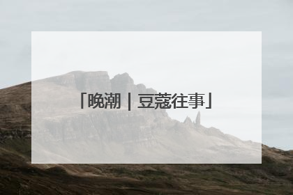 晚潮｜豆蔻往事