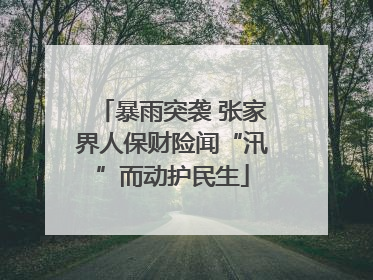 暴雨突袭 张家界人保财险闻“汛”而动护民生
