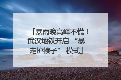 暴雨晚高峰不慌！武汉地铁开启 “暴走护犊子” 模式