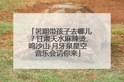 暑期带孩子去哪儿？甘肃天水麻辣烫、鸣沙山·月牙泉星空音乐会请你来