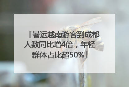 暑运越南游客到成都人数同比增4倍，年轻群体占比超50%