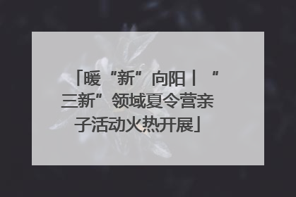 暖“新”向阳丨“三新”领域夏令营亲子活动火热开展