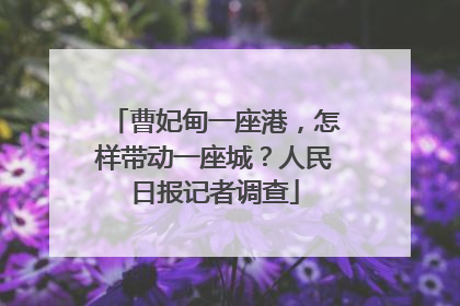 曹妃甸一座港，怎样带动一座城？人民日报记者调查