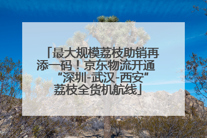 最大规模荔枝助销再添一码！京东物流开通“深圳-武汉-西安” 荔枝全货机航线