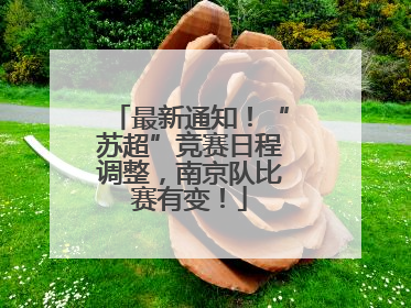 最新通知！“苏超”竞赛日程调整，南京队比赛有变！