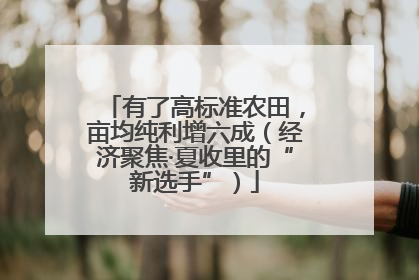 有了高标准农田，亩均纯利增六成（经济聚焦·夏收里的“新选手”）