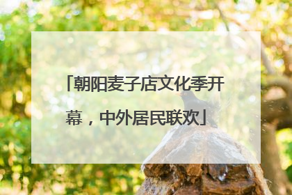 朝阳麦子店文化季开幕，中外居民联欢