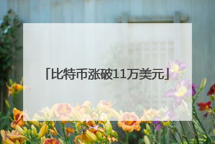 比特币涨破11万美元