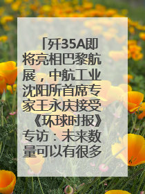 歼35A即将亮相巴黎航展，中航工业沈阳所首席专家王永庆接受《环球时报》专访：未来数量可以有很多