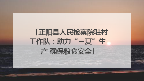 正阳县人民检察院驻村工作队：助力“三夏”生产 确保粮食安全