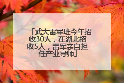 武大雷军班今年招收30人，在湖北招收5人，雷军亲自担任产业导师