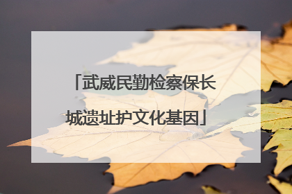 武威民勤检察保长城遗址护文化基因