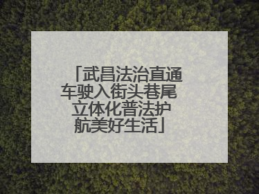 武昌法治直通车驶入街头巷尾 立体化普法护航美好生活
