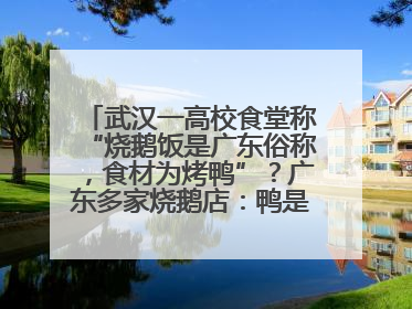 武汉一高校食堂称“烧鹅饭是广东俗称，食材为烤鸭”？广东多家烧鹅店：鸭是鸭鹅是鹅