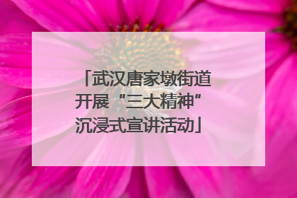 武汉唐家墩街道开展“三大精神”沉浸式宣讲活动
