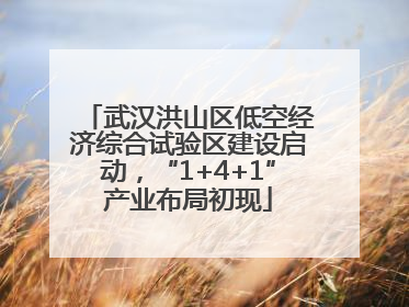 武汉洪山区低空经济综合试验区建设启动，“1+4+1”产业布局初现