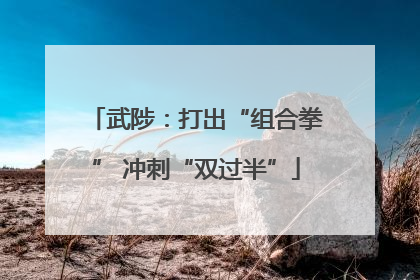 武陟：打出“组合拳” 冲刺“双过半”
