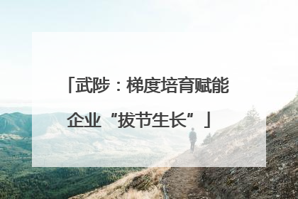武陟：梯度培育赋能企业“拔节生长”