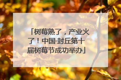 树莓熟了，产业火了！中国·封丘第十届树莓节成功举办