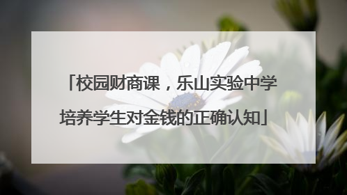 校园财商课，乐山实验中学培养学生对金钱的正确认知