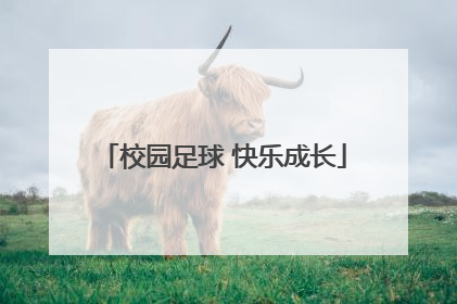 校园足球 快乐成长