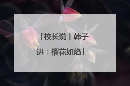 校长说丨韩子进：榴花如焰