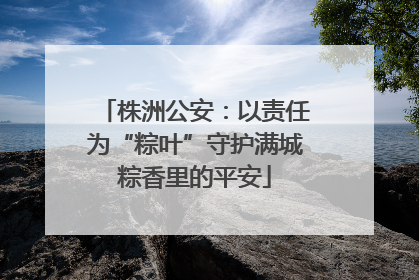 株洲公安：以责任为“粽叶”守护满城粽香里的平安